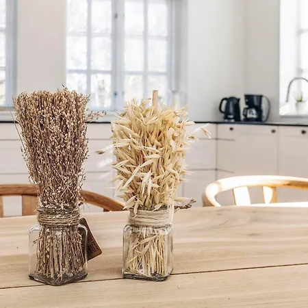 Casa vacanze 5 Star In Liseleje