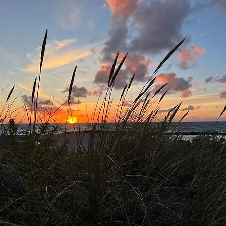 Semesterbostad 5 Star In *