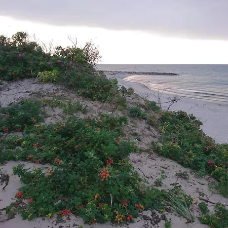 5 Star In Semesterbostad *