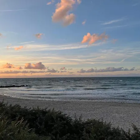 5 Star In * Liseleje